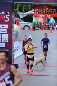 BIB: 043852, 2019, 564, 5551
                            <button type="button" onclick="openModal(5745762)" class="btn btn-primary btn-sm float-right btn-popup" data-toggle="modal" data-target=".modal-high-quality">
                        <i class="fas fa-shopping-cart"></i> Add to Cart
                    </button>
                                            <button type="button" onclick="isThisMe(5745762, true)" class="btn btn-success btn-sm float-right btn-popup btn-isme hidden" data-toggle="tooltip" data-placement="bottom" title="นี่คือรูปของคุณใช่ไหม คลิกที่นี่เพื่อเอาเข้าอัลบั้ม">
                        <i class="fas fa-plus"></i> Add to album
                    </button>
                    <button type="button" onclick="isThisMe(5745762, false)" class="btn btn-warning btn-sm float-right btn-popup btn-isnotme hidden">
                        <i class="fas fa-ban"></i> Remove from album
                    </button>